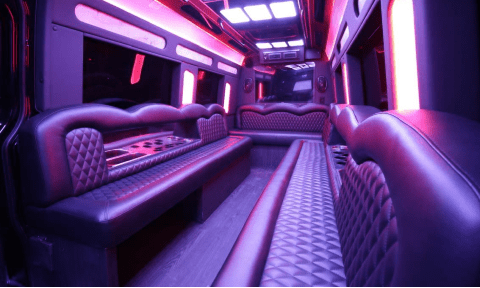 Keller 14 Passenger Sprinter Bus Interior