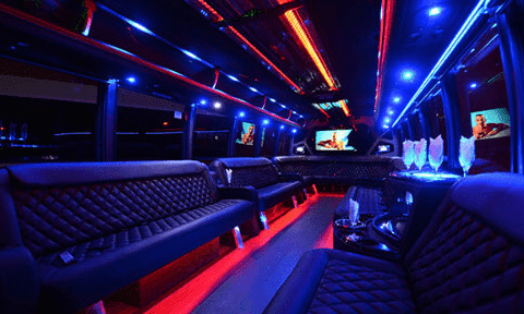 Wichita Falls 30 Passenger Party Bus Black Interior