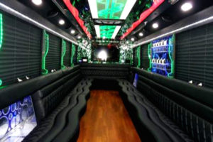 20 Person Party Bus 1 Fort Worth